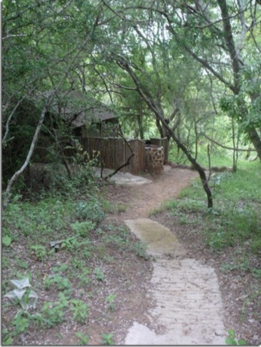 [tent1]