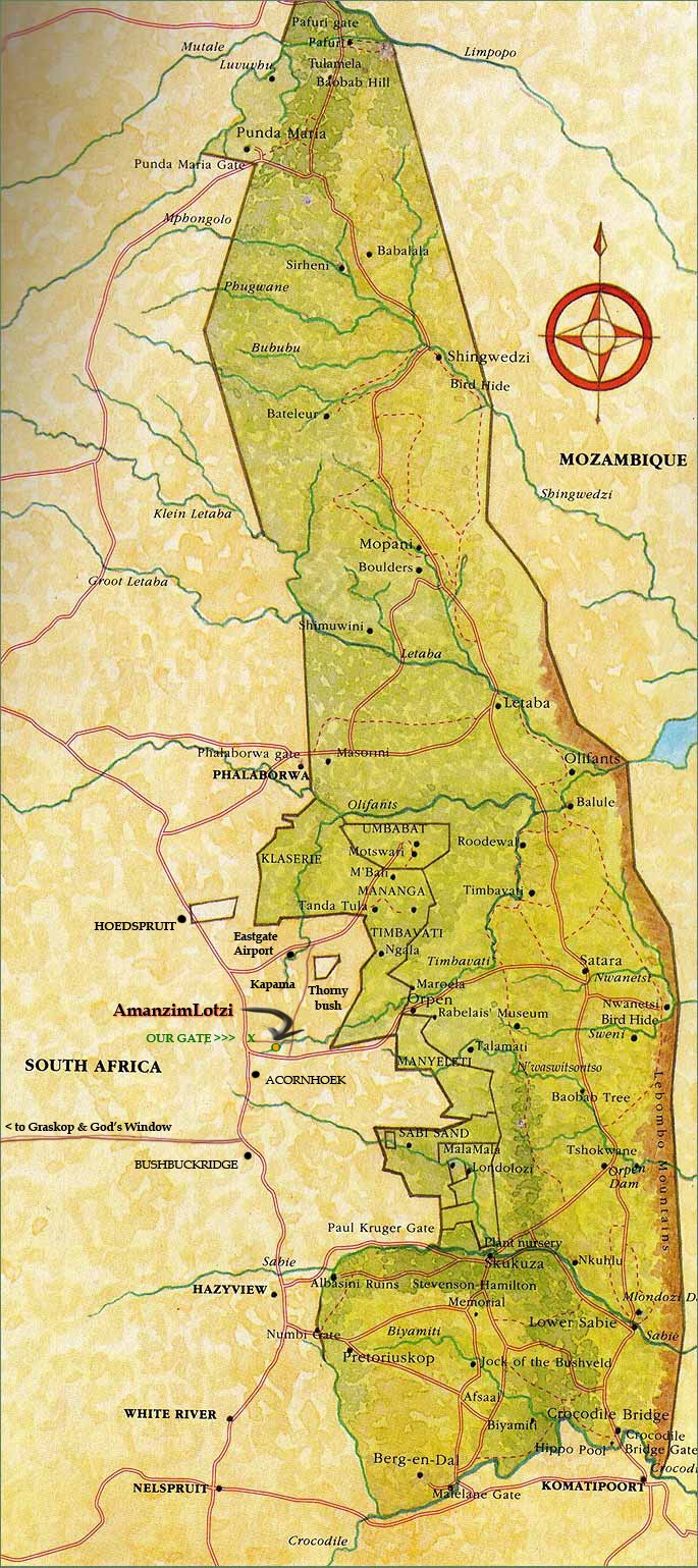 [large map]