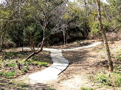 [concrete paths]